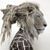 Donley Donley's profile image