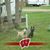 Mary Bernd's profile image