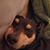 Buck Jones's profile image