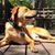 Buddy Bollinger's profile image