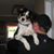 Karen Miller Riapos's profile image