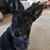 Gerry Perry Raine's profile image