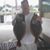 Cary Rutherford's profile image