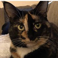 Jennifer Cochran's profile image