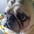 Tara Huber's profile image