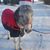 Cathy DeMarais Marquette's profile image
