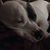 Jessica Prindle's profile image