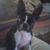 Nancy Spore's profile image