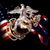 Leonard Osinski III's profile image