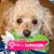 Sylvia Barclift's profile image