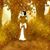 Xesenia Cardenas's profile image