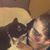 Nancy De Lazzaro's profile image