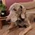 Kim Evers's profile image