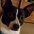 Melanie Crowe Damron's profile image