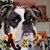 Austin R Burkhart's profile image