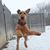 Sisu Sheldon's profile image