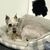 Kathi Middendorf Christman's profile image