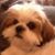 Diane Astorga's profile image