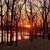 Amy Heidotten's profile image