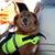 Nora Mabie's profile image