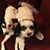 Judy Loderstedt Mack's profile image