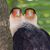 Phil McNeil's profile image