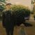 Jamie Lentz's profile image