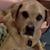 Mist MacNab's profile image