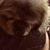 Gale Snider Reynolds's profile image