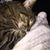 Melissa Dargis Velasco's profile image
