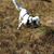 MaryAnne Obst's profile image