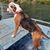 Sherry Hauprich's profile image
