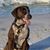 Roxann Frey's profile image