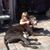 Debbie Vincent's profile image