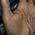 Tip Haynes's profile image