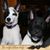 Julie Ruppel-Weaver's profile image