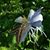 Kevin Lee Pritchett's profile image