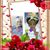 Pamela F Brown's profile image