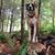 Lisa Brown Sandmire's profile image