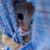 Dalia Flores's profile image