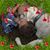 Terri Szabo's profile image