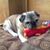 Cheryl Elizabeth Odeen's profile image