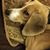Dawn Rebecca Blinson's profile image