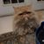 Irie Cats's profile image