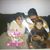 Luis Zelaya's profile image