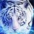 Bonnie Smith's profile image