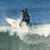 Jason Adame's profile image