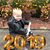Cheryl Harris Johnson's profile image