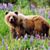 Thomas Noland's profile image