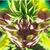 Francis Rodriguez's profile image